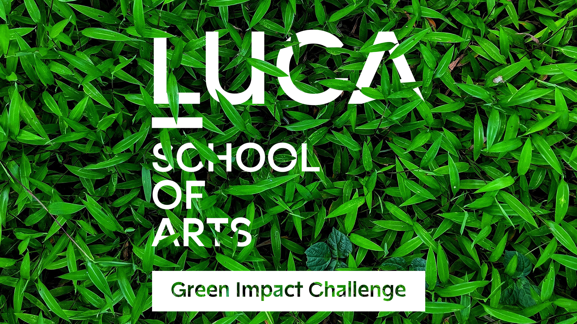Green Impact LUCA 2021