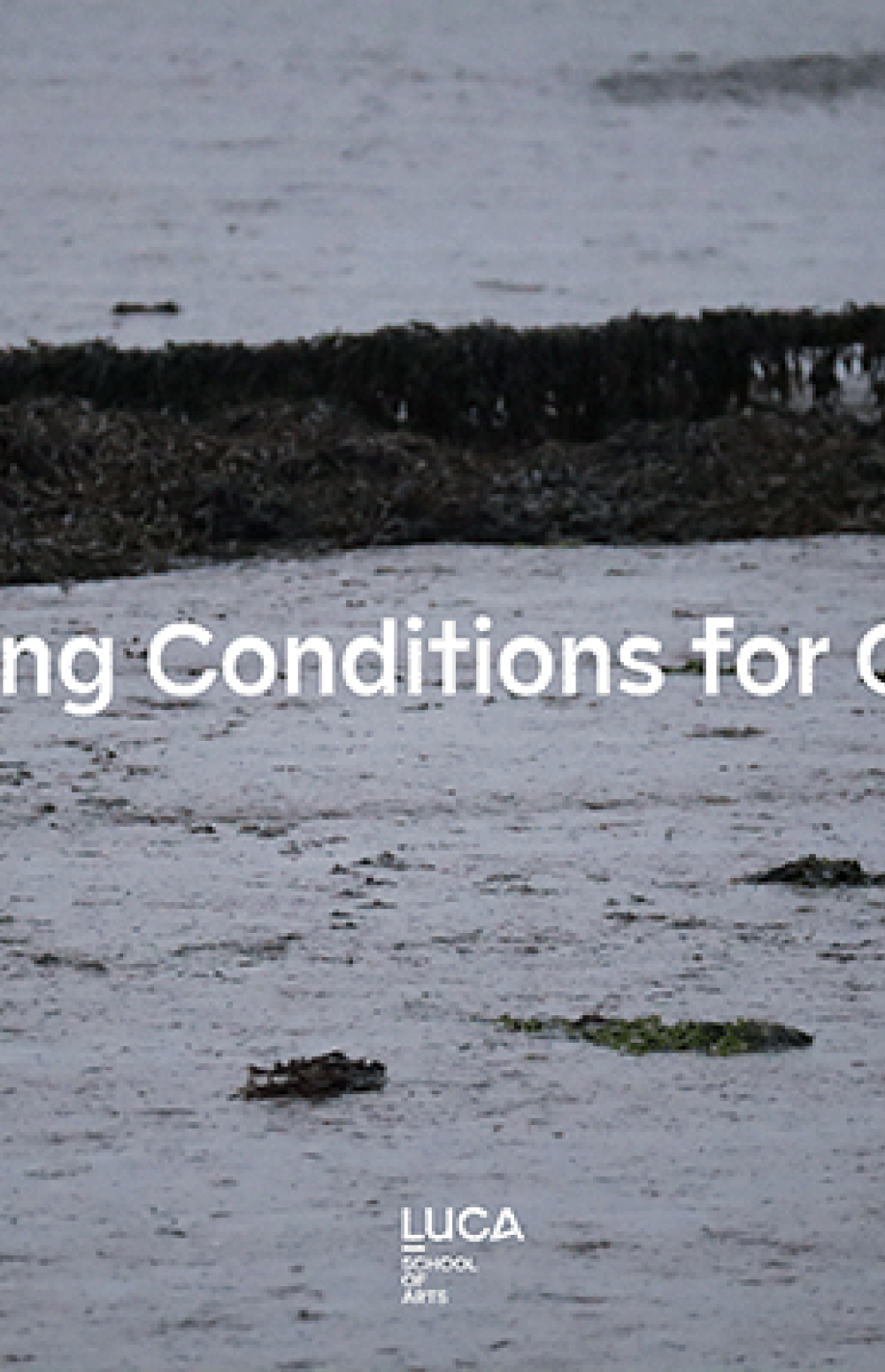 Creating Conditions for Change | LUCA